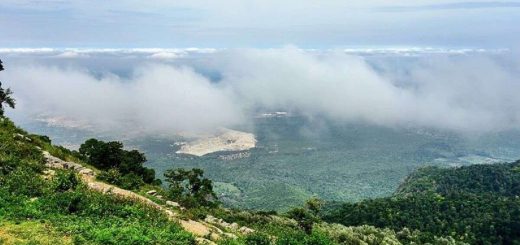 Yercaud-hill-station-tamil-nadu