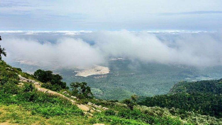 Yercaud-hill-station-tamil-nadu