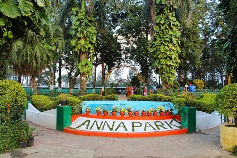 anna park
