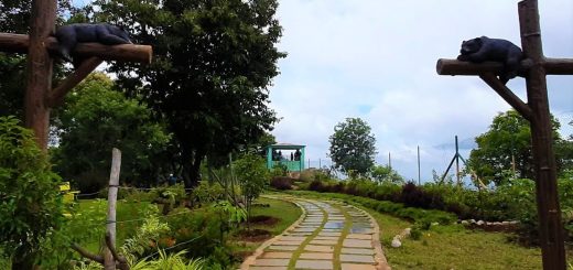 karadiyur view point