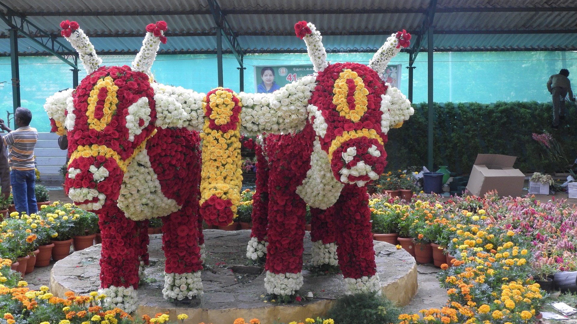 yercaud biyercaud special